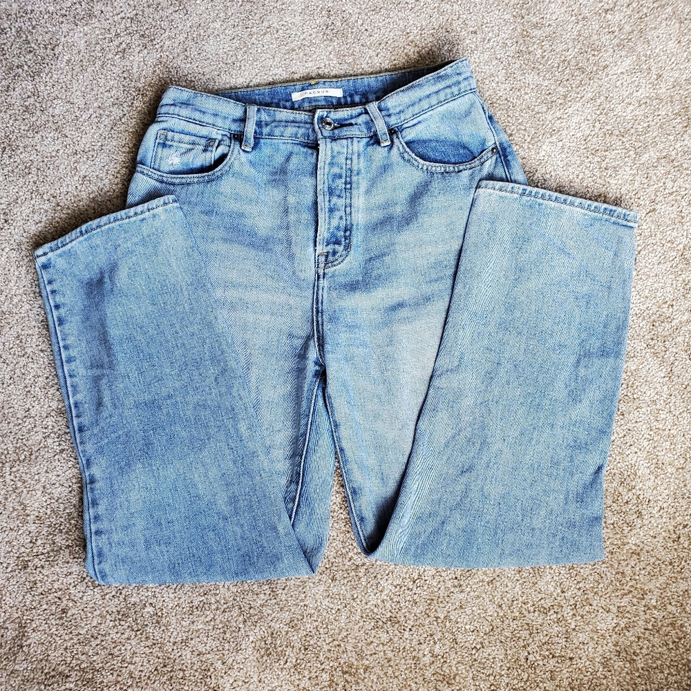 Pacsun Highrise Straight Jean